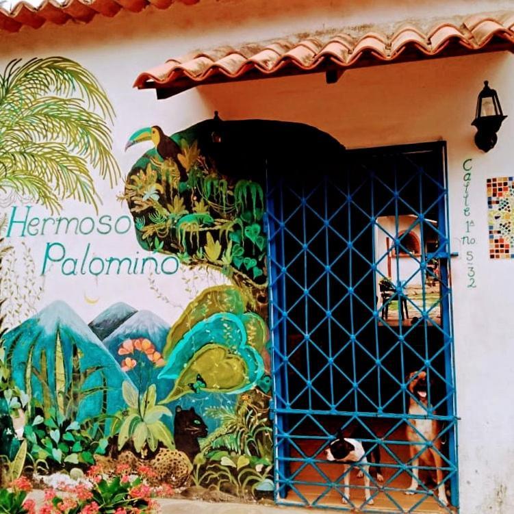 Hermoso Palomino Exterior photo